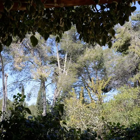 Holiday home Du Puech Cigale